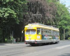 Am 9. Juli 2016 erwischte ich ihn ziemlich zufällig auf der Uerdinger Straße in der Nähe der (H) Sonnenhof...